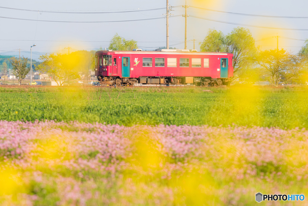 春色の汽車に乗って♪