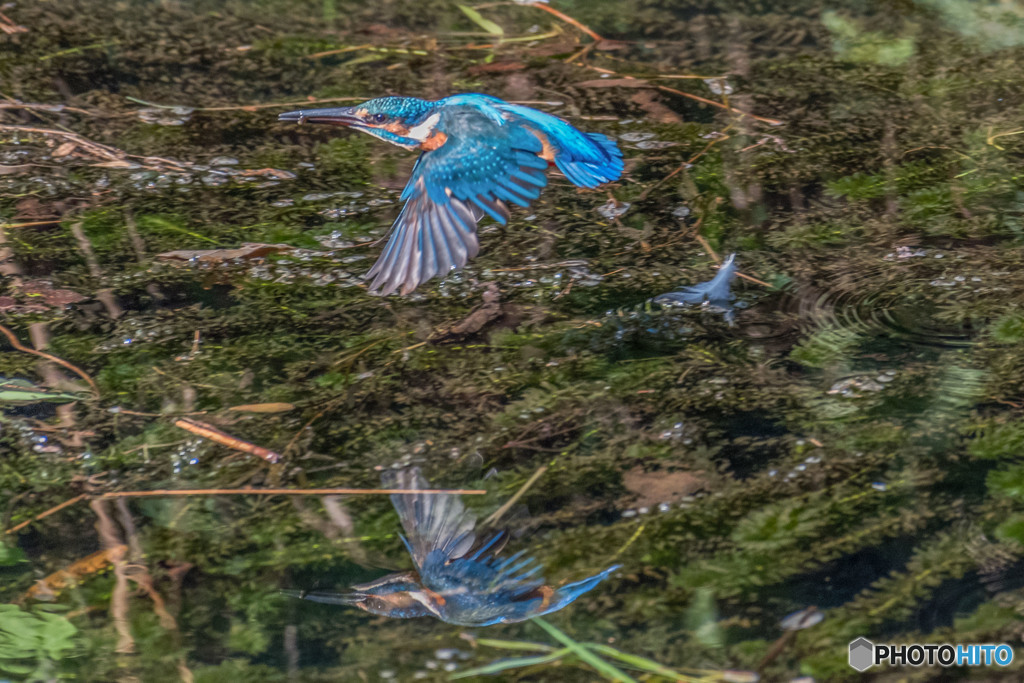 Reflection