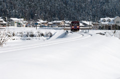 雪原に疾る