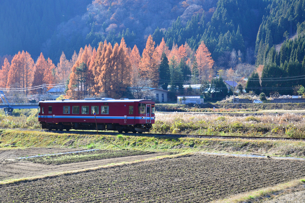 初冬の長良川鉄道