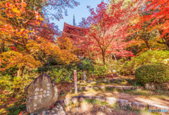 湖東三山・金剛輪寺の紅葉