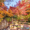 湖東三山・金剛輪寺の紅葉