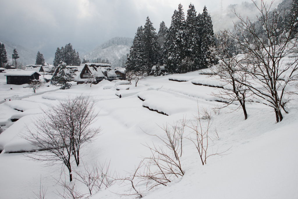 五箇山・相倉集落の冬景色
