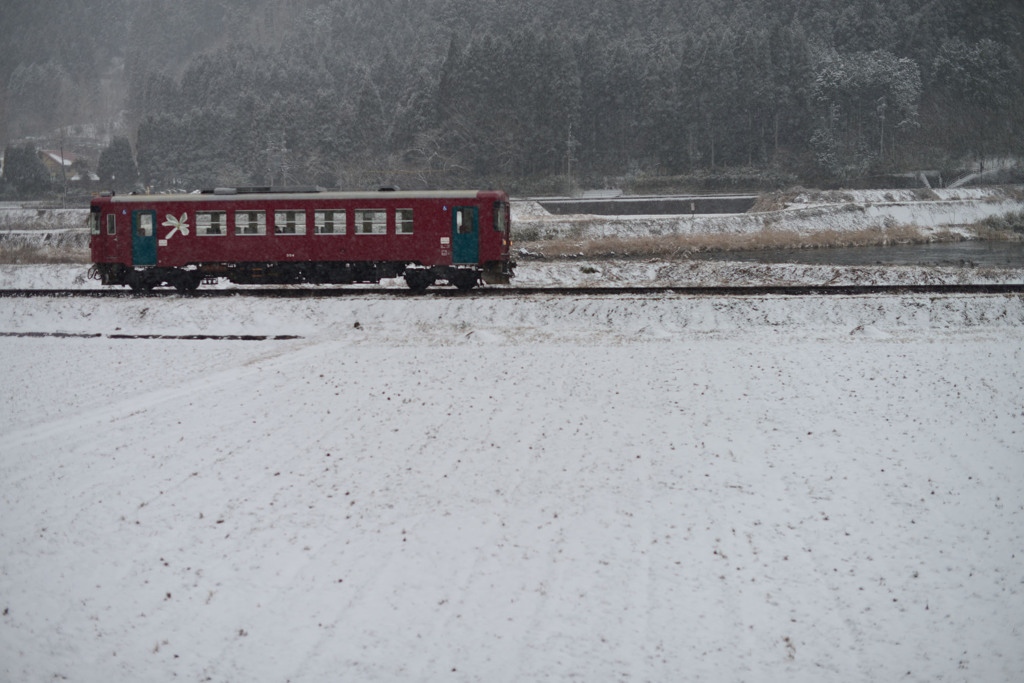 雪原に走る