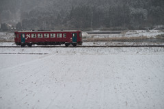 雪原に走る