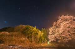 苗代桜と冬の星