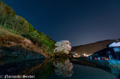 夜に咲く
