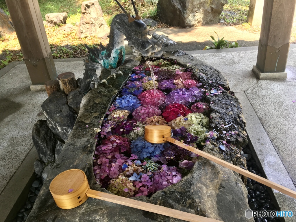 アジサイ神社