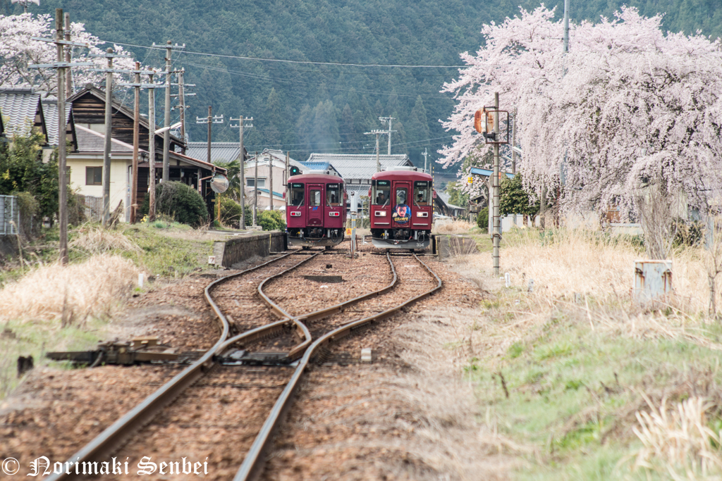 長良川鉄道大矢駅