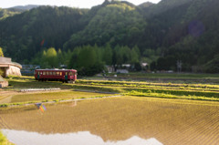 春の長良川鉄道♪