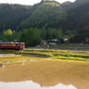 春の長良川鉄道♪