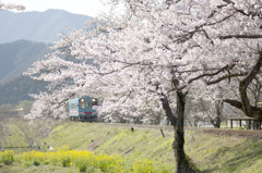 春色の汽車に乗って