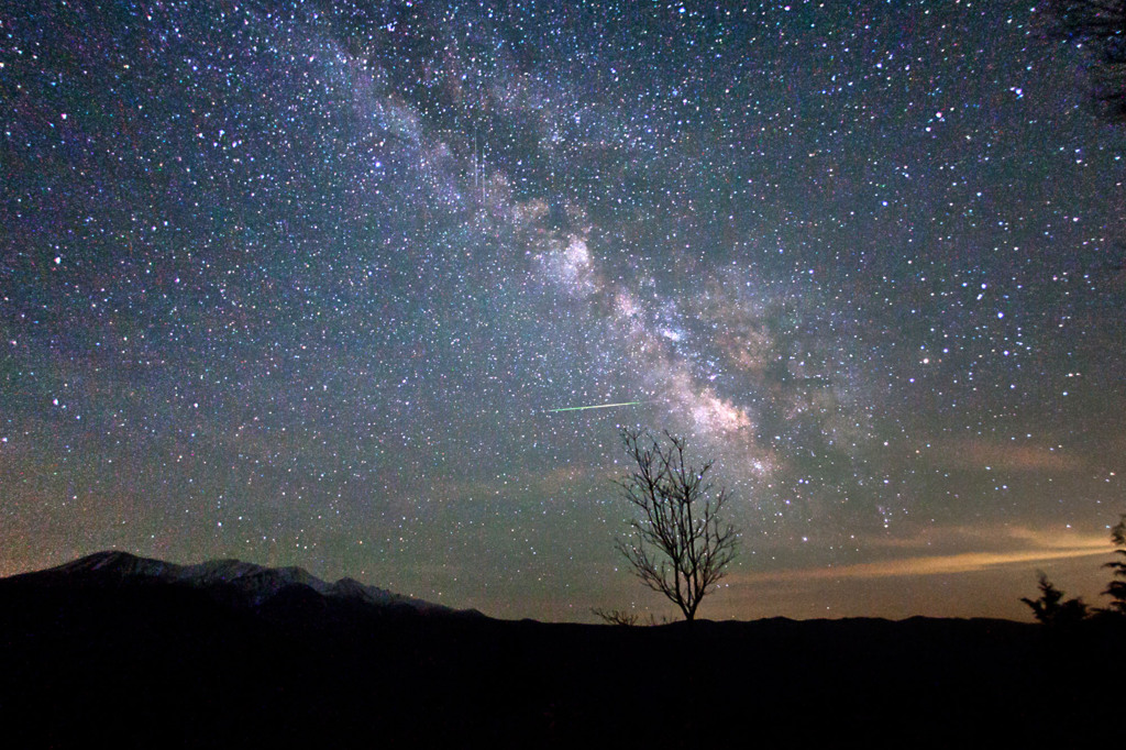 流れる星は生きている