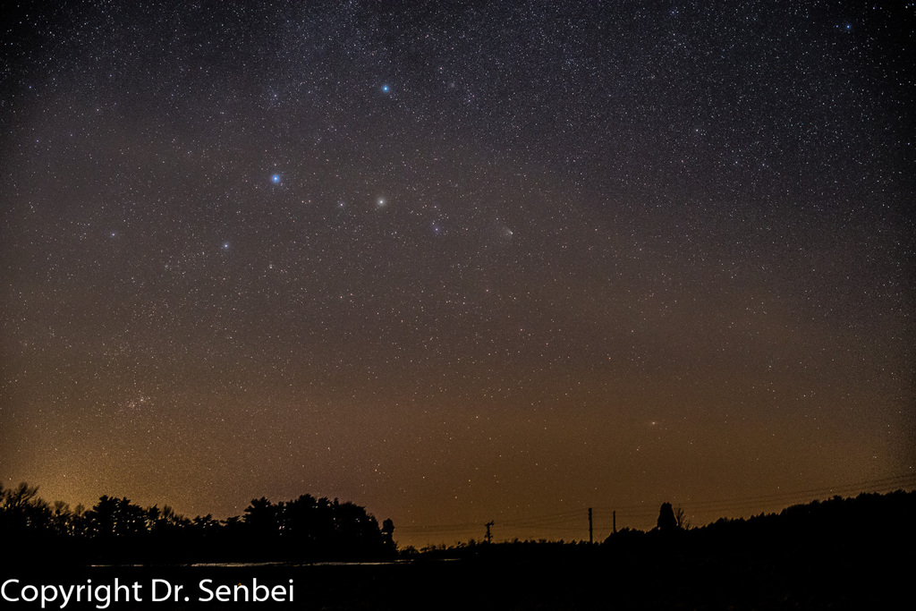 パンスターズ彗星（4月14日）