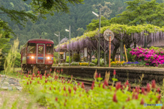 5月の長良川鉄道