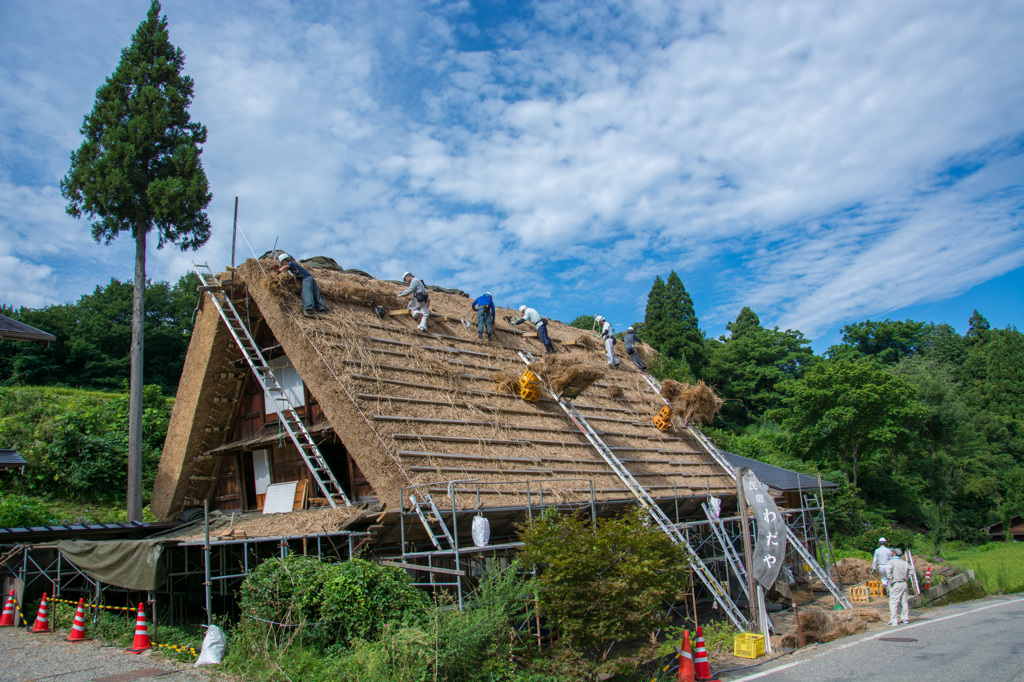 白川郷茅葺屋根の張り替え