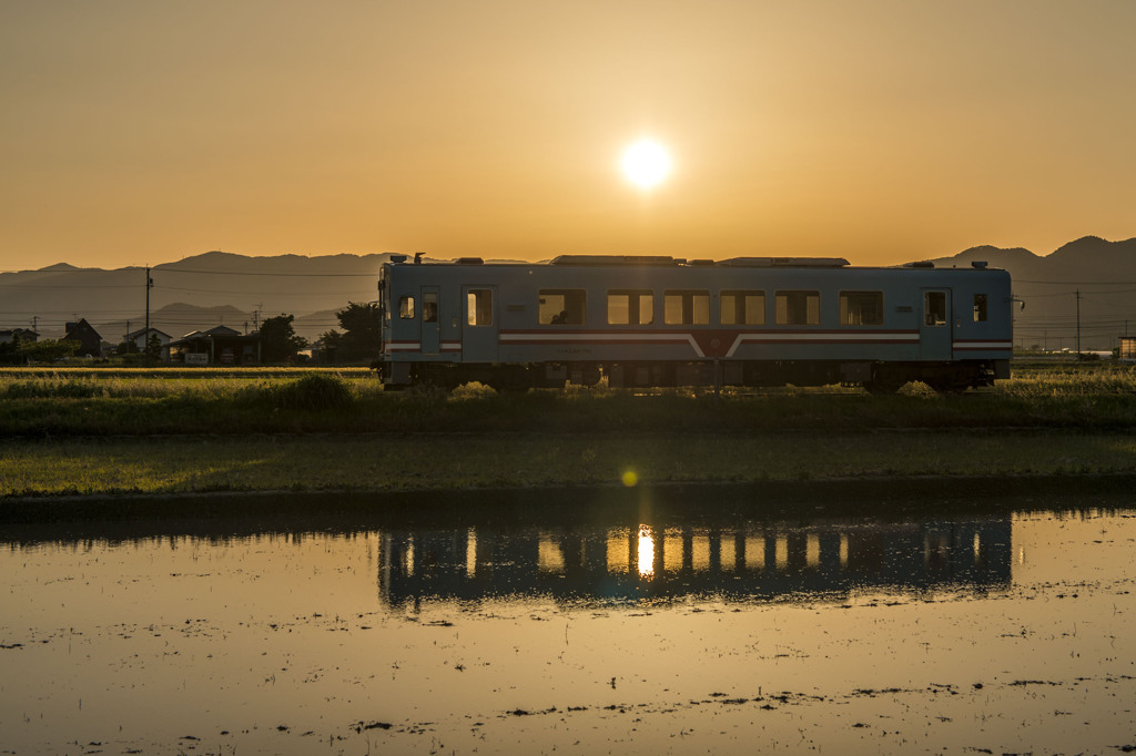 夕日の樽見鉄道