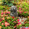 京都圓光寺にて