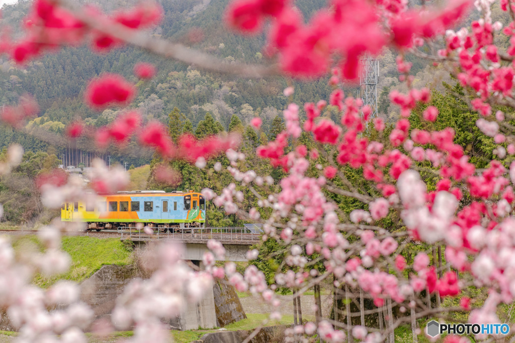 花桃鉄道２