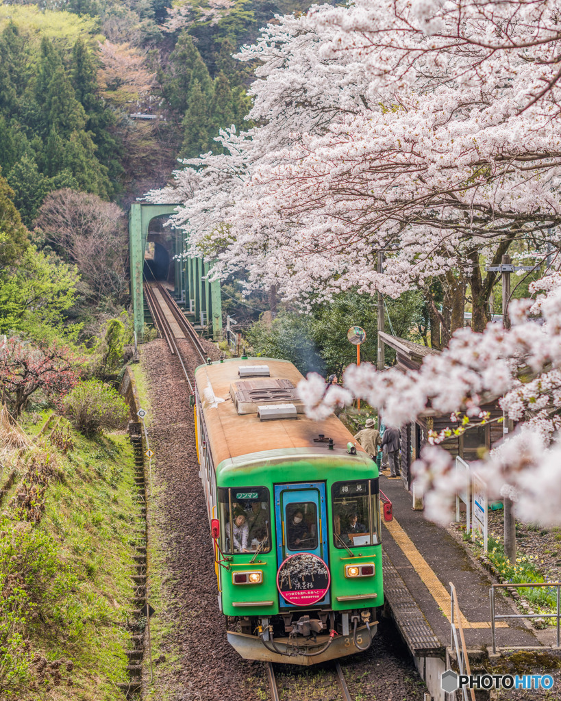 樽見鉄道日当駅 By センベイ Id 写真共有サイト Photohito