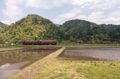 春の長良川鉄道