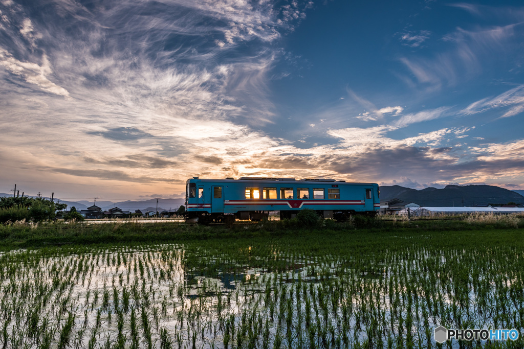 樽見鉄道夕日の窓抜き