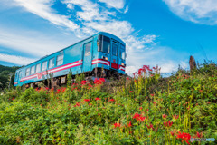 秋の樽見鉄道