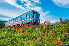 秋の樽見鉄道