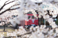 名鉄鉄道　谷汲線