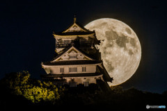 仲秋の名月と岐阜城