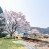 桜鉄道