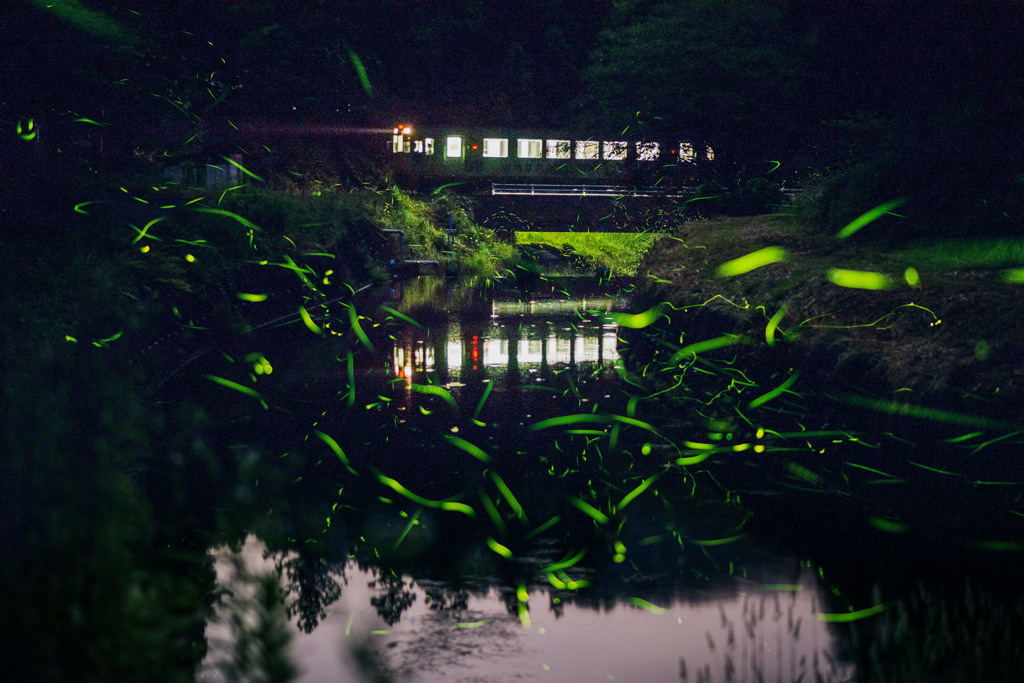 樽見鉄道の夜はふけて