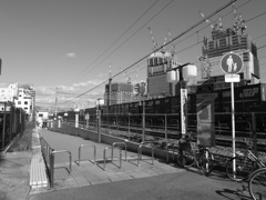 シンプルトーン