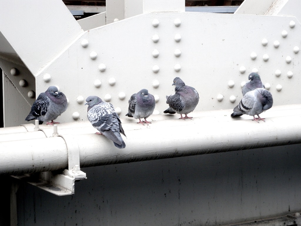 さっぶう…