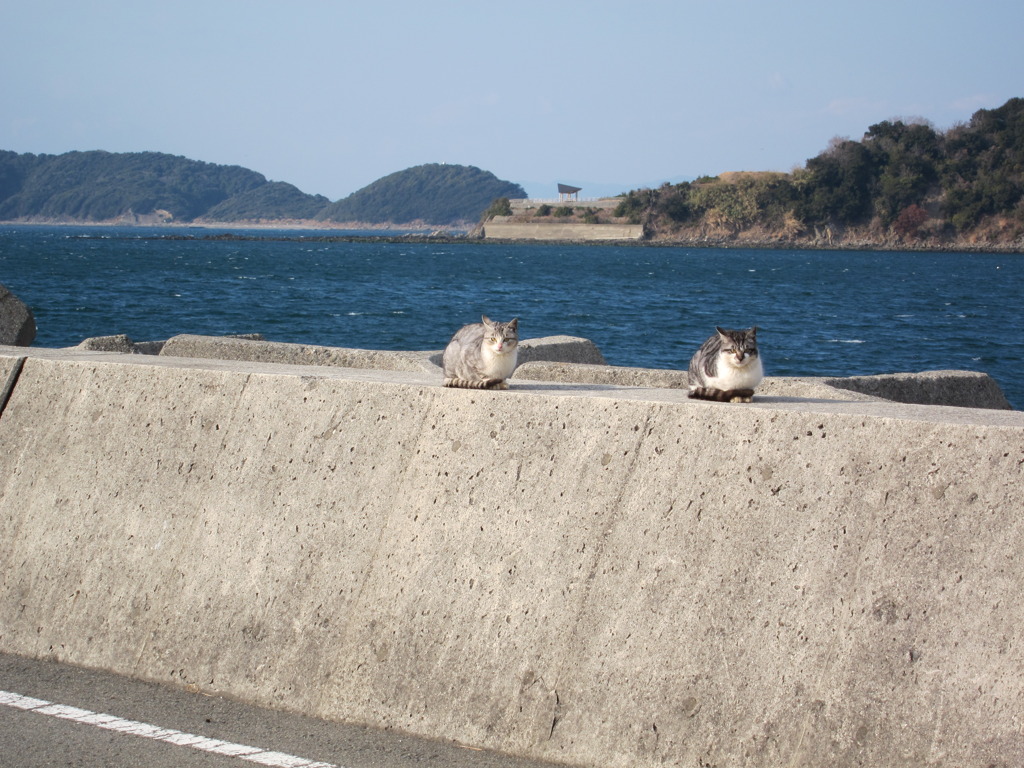 結