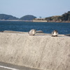 結