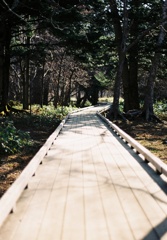 Board walk