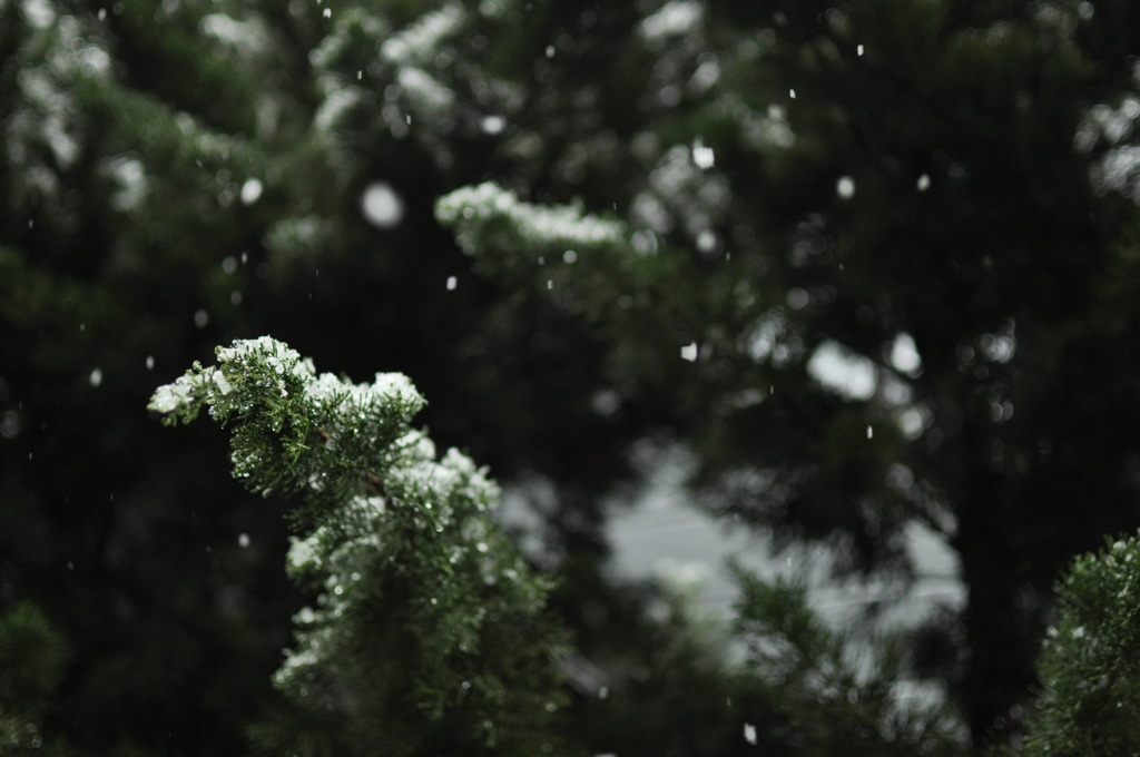 雪
