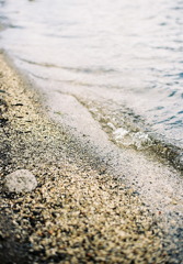 Ripple