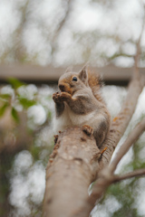 Snack time