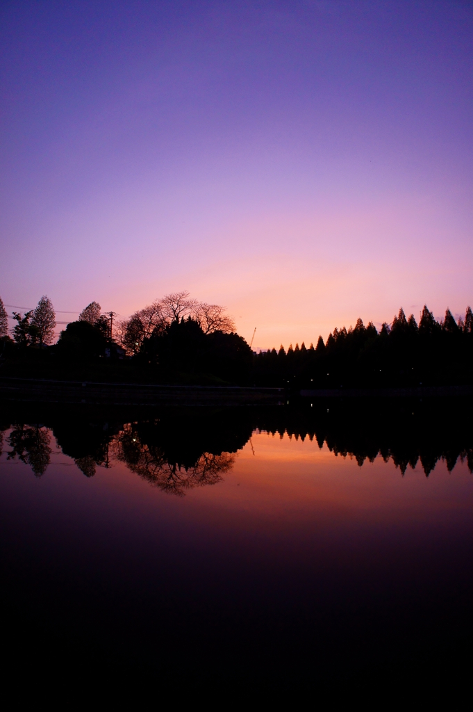Purple Sunset