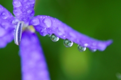 Moisture