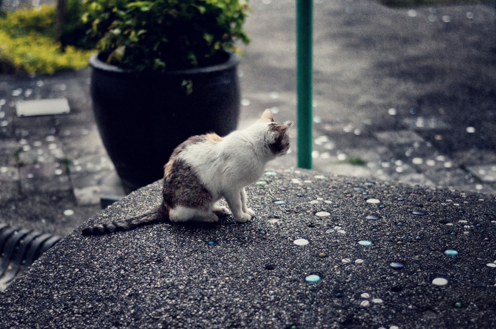 Alone