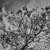 Ultrafine