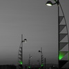 Green Lamp