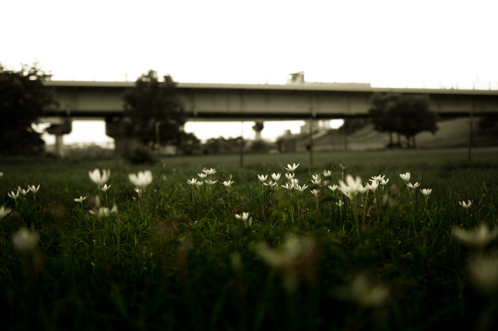 Under the overpass