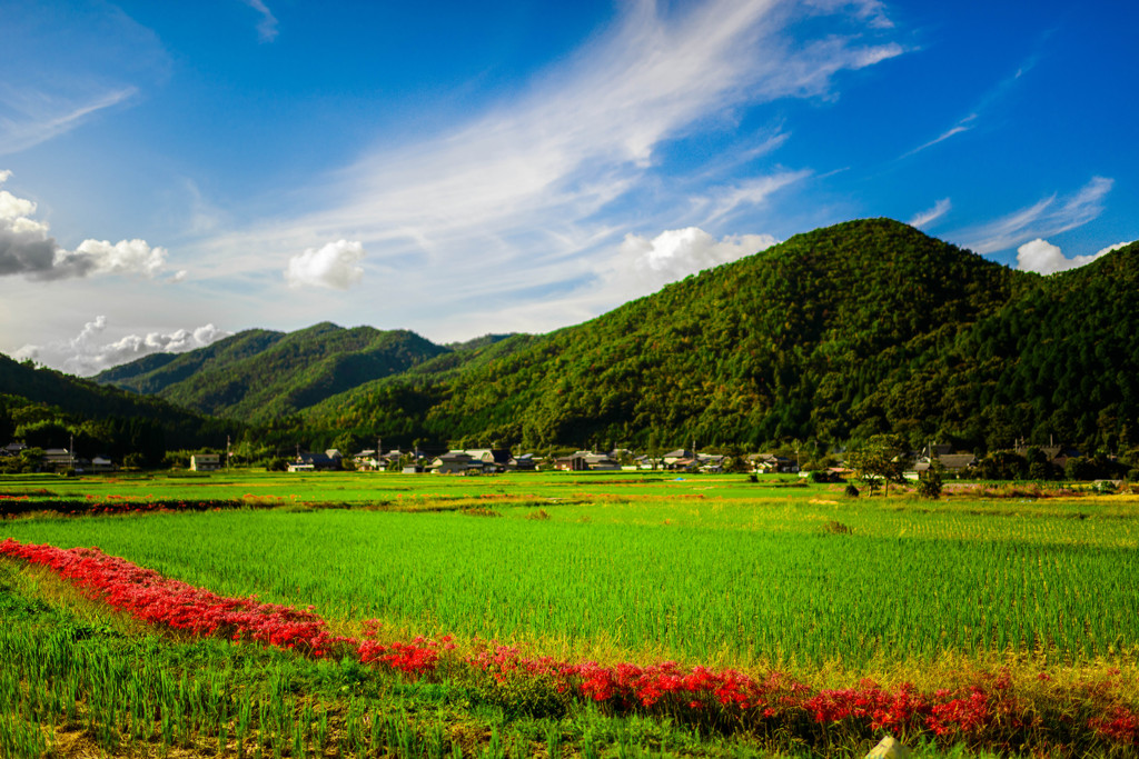 Japanese country view