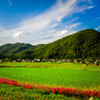 Japanese country view