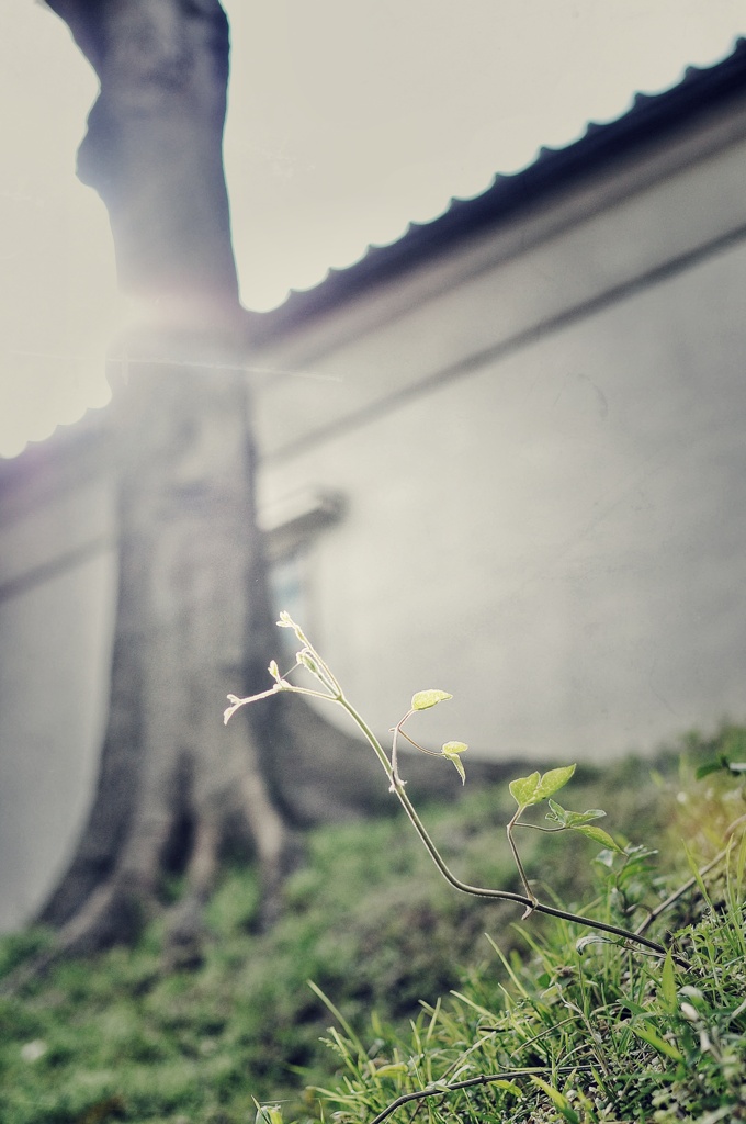 To the direction of the light