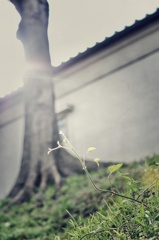 To the direction of the light